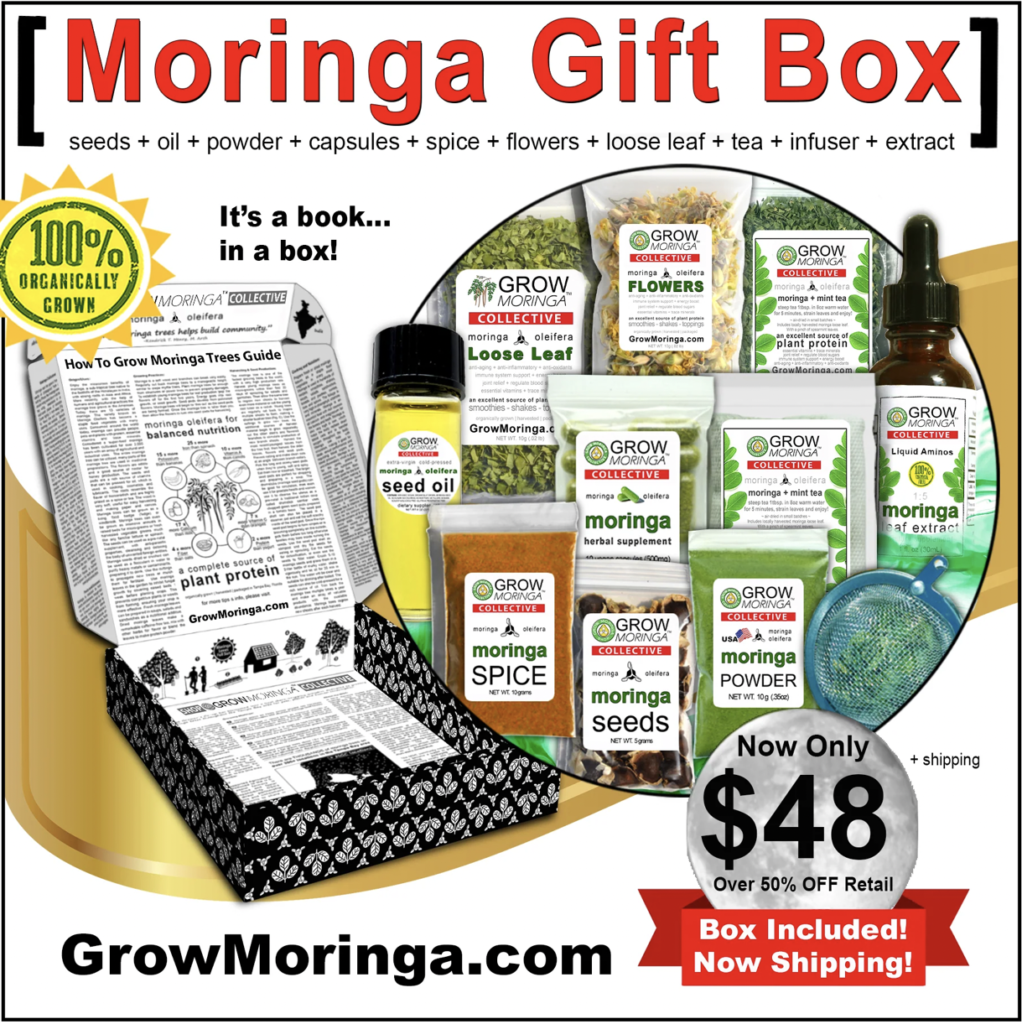 moringa box contents