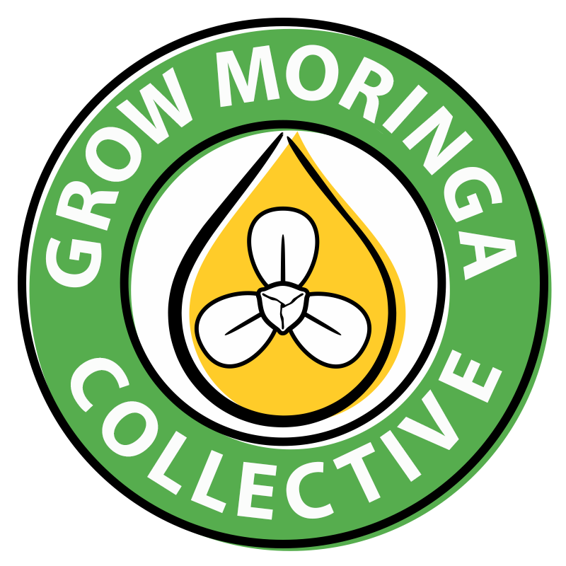 grow moringa collective